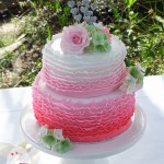 Hydrangeas, roses, and pink ombre ruffles  {Fraser Island wedding cake}